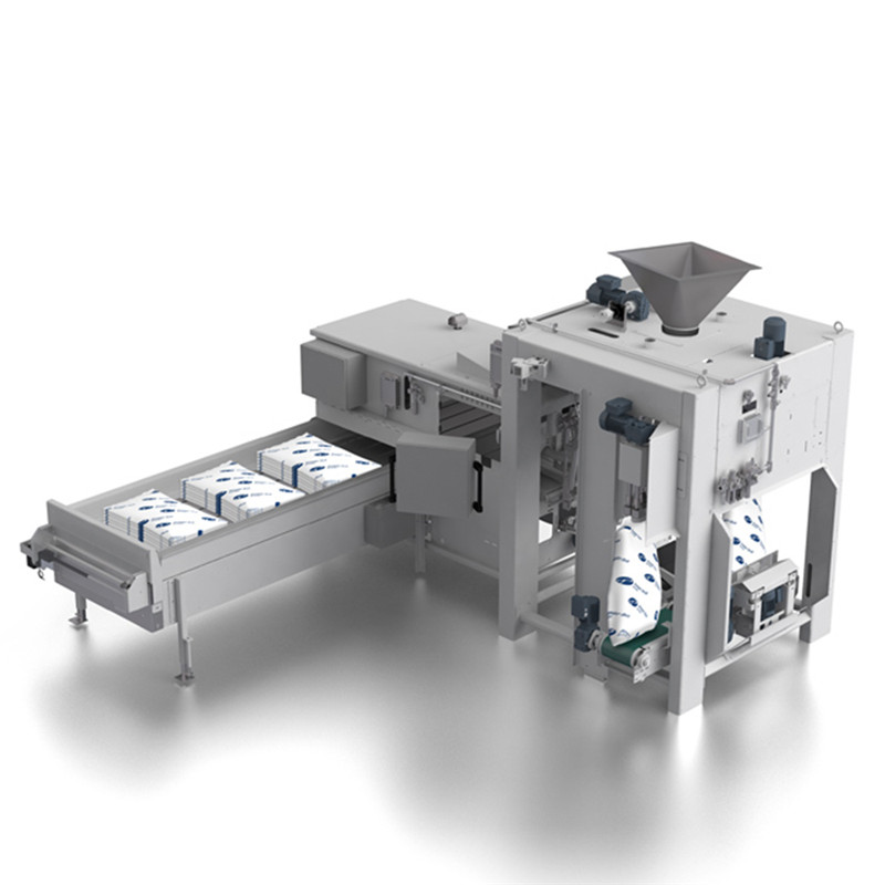 Machine de sacage automatique CAD_PTK1700
